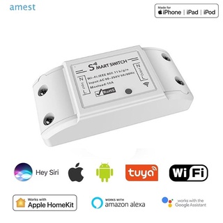 [listo] wifi smart inalámbrico interruptor remoto controlador de luz módulo de trabajo 10a universal relé interruptor para google homekit amandass