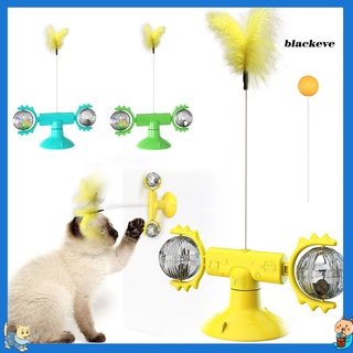 bl-rotatable rodillo gatito tocadiscos juego de mascotas suministros redondo interactivo gato juguete
