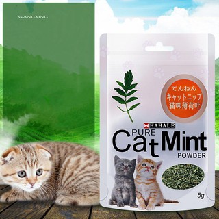 Wx 5g/Pack gato menta polvo Natural Catnip mascota gatito limpieza boca sabor golosinas (1)