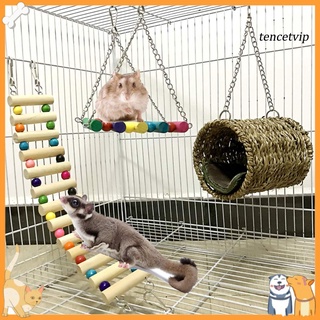 ptimistica-3pcs mascota hamaca swing túnel casa cama escalera hámster ardilla colgante jaula juguete