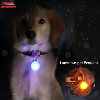 [HW] Collar De Linterna LED De Seguridad Nocturna Para Mascotas Fascinante Perro Gato Cachorro Brillante Colgante Luminoso En La Oscuridad (1)
