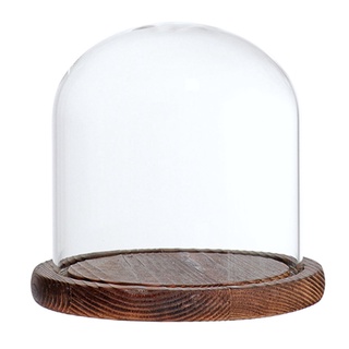 cúpula de cristal cloche con base de madera flor paisaje titular cubierta marrón - a