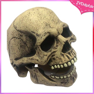 creepy bone skull esqueleto máscara mujeres hombres capucha cara completa disfraz de halloween