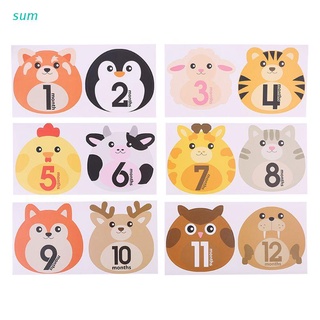 sum 12 Pcs Animal First Year Monthly Milestone Photo Sharing Baby Belly Stickers 1-12 Months