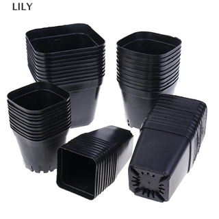 [lily] 10 macetas negras macetas de plástico pequeñas macetas cuadradas para plantas suculentas