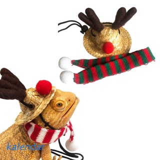 KALEN Winter Warm Small Animal Christmas Costume Guinea Pigs Hat and Scarf for Hamster Hedgehog Lizard Bearded Dragon Cosplay