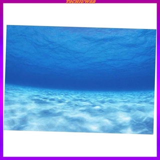 Tachiuwa2 6 tamaño pecera imagen subacuática Para acuario (7)