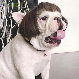 tonies peluca de gato ajustable adorable perro disfraz perro sombrero decoración de halloween gorra foto prop divertido mascota productos fiesta de cumpleaños mascotas suministros
