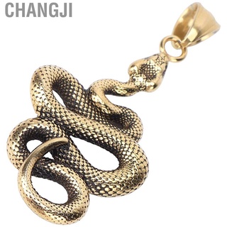 changji cremallera tira de titanio de acero en forma de serpiente colgantes accesorios de ropa para hombre viejo