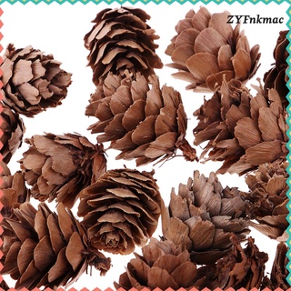 mini pequeños conos de pino seco naturales en grandes flores secas (9)