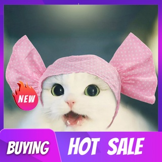 querenmim Lindo Moda De Algodón Gato Gatito Gorra Mascota Sombrero Disfraz Tocado Accesorio
