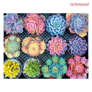 richm flower diamond - kits de pintura para adultos, pintura con diamantes, plantas suculentas