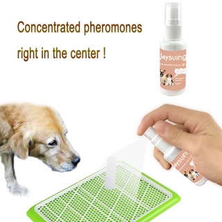 [Weteasd] Spray de entrenamiento para orinal para perros, 30 ml, Spray de entrenamiento para inodoro, accesorios para perros, inductor