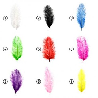 10 pzs plumas de avestruz naturales/decoración de fiesta/10-12 pulgadas/25-30 cm