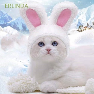 erlinda fiesta gato disfraz divertido mascota accesorio conejo sombrero para gatos y perros pequeños caliente con orejas cosplay gato headwear