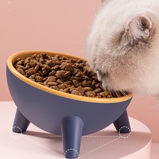 st levantado inclinado cuenco elevado mascotas gatos perros alimentos agua plato prevención de flujo dispensador de alimentación contenedor (4)