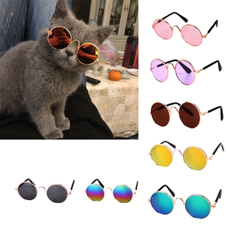 lentes para perros/gatos/gatos/gatos/gatos/gatos/protección