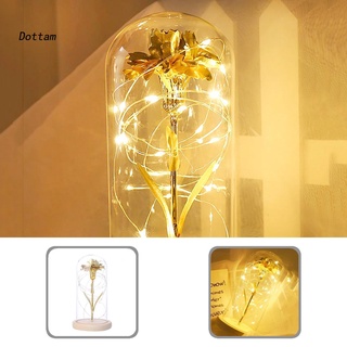 Dottam LED Decorative Night Lamp LED Night Light Ornament 20 LED Lights for Home Decor