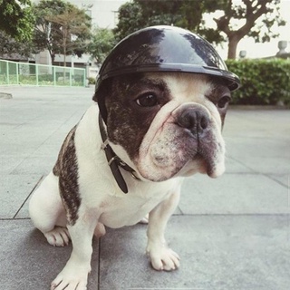Mxbeauty - cascos de perro con estilo para motocicletas, sombrero de gato, diseño de moda, fresco, protección de seguridad al aire libre, suministros para mascotas (3)