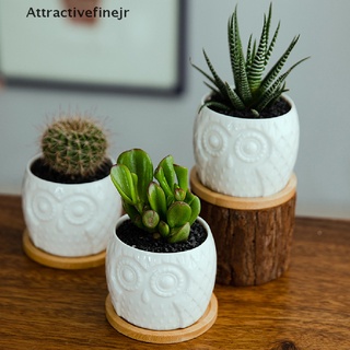 [afjr] maceta suculenta mini maceta de cerámica suculenta maceta de cactus con drenaje: atractivefinejr