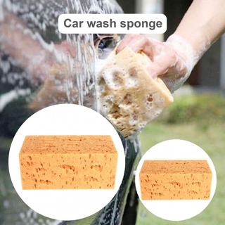 areuz herramienta de mano esponja de lavado coche macroporoso coral esponja amplia aplicación para el hogar