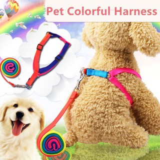 27 pets colorido arco iris mascota perro collar arnés correa suave caminar arnés plomo colorido y duradero cuerda de tracción nylon 120cm