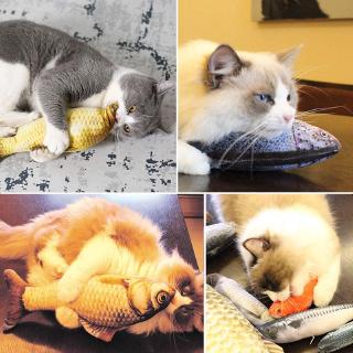Juguetes De Pez Catnip Para Gatos , Interactivos De Felpa De 20 cm Para Masticar Almohada Limpieza De Dientes (3)