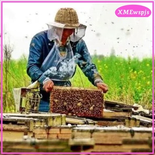 apicultura de plástico 46 agujeros tira de transporte para reina abeja transporte aislador rodillo jaula caso equipo herramientas