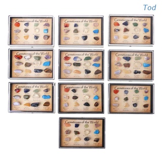 Tod Rock Collection 12pcs Mixed Natural Mineral Ore Specimens Gemstones with Box