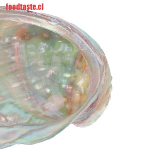 [foodtaste] 2pcs 6-7 cm concha de abulón natural concha DIY hecho a mano materia (3)