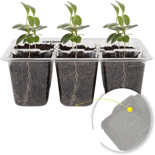 orget - bandeja de inicio de 10 semillas (12 celdas por bandeja) humedad ajustable cl (1)