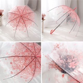 Esqueleto Romántico Transparente Flores Transparentes Burbuja Domo Paraguas Medio Automático Para El Viento Fuerte Lluvia (4)