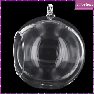 Hanging Ball Glass Flower Nursery Vase Terrarium Container Candle Holder (8)