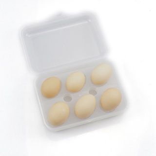 Caja de huevo titular de huevo titular de almacenamiento al aire libre blanco 1* 1pc ABS de alta calidad