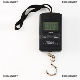Finegoodwell2 40kg Mini Digital Scale For Fishing Luggage Travel Weighting Hanging Hook Scale Glory