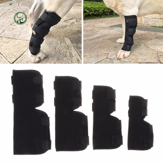 Venta caliente| 1 par de piernas traseras a prueba de golpes para mascotas, perros, rodillera, Protector de rodilla