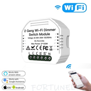 tuya app diy 2 gang wifi luz led dimmer módulo interruptor control remoto fortunely.cl