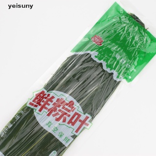 [yei] hojas de bambú secas puro natural zongzi pegajoso arroz bola de masa 100% orgánico 50pcs 586cl