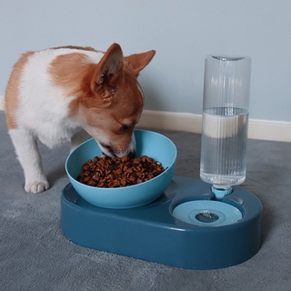 Alimentador De alimentos ajustable desmontable Para perros y Gatos (8)