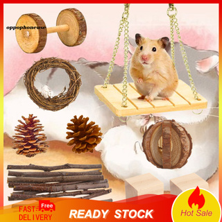 juego de juguetes de hámster resistentes a mordeduras molar 9 piezas de madera pequeño animal juguetes de juego para conejillo de indias (1)