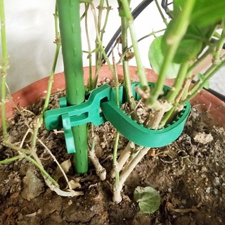 12 pzs Clips reutilizables para Planta/cable/arbol ajustable/soporte/jardinería/suministros de injercicio