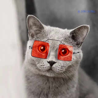 [jinching] gafas de sol cuadradas universales para gatos/gatos/lentes de sol/fotos/accesorios para mascotas