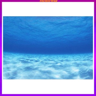 Tachiuwa2 6 tamaño pecera imagen subacuática Para acuario (4)