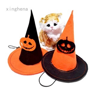 Alas de murciélago disfraz de calabaza mago sombrero de Halloween Cosplay vestir para gato pequeño gatito cachorro mascota perro