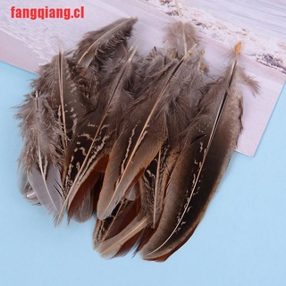 [fangqiang]50 unids/set plumas de faisán 5-10 cm de pollo para carni (1)