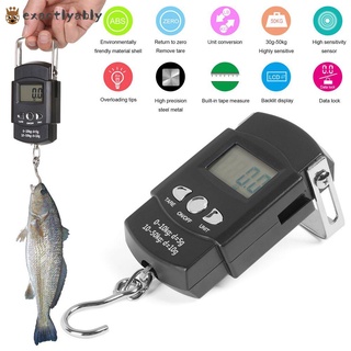 exactamente mini gancho colgante de equipaje de mano electrónica digital escala portátil de viaje cocina ponderación de pesca lcd