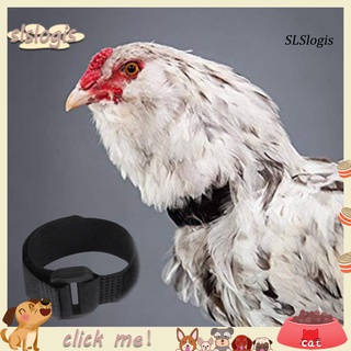 sxx_2pcs collar de pollo anti cuervo libre de ruido gallo cinturón ajustable hebilla aves de corral suministros para patos