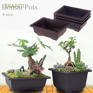 BRANDI Dark brown Nursery Pots Plastic Planters Bonsai Pots Balcony Home Decor Square/Rectangle Retro Succulents Garden Supplies