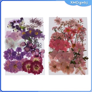 75x flores secas reales naturales prensadas flores prensadas scrapbooking embellishemnts (1)