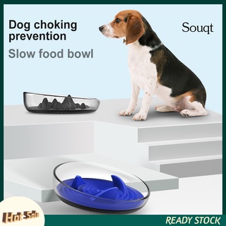 Sqyg - alimentador lento para mascotas, perro, gato, cachorro, alimentador lento, plato de alimentación Anti asfixia